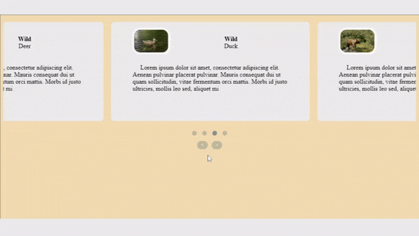 Create Responsive Carousels Slider with Owl Carousel.gif
